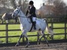 Image 13 in BROADS  EC  DRESSAGE  6  DEC  2014