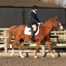 Image 16 in BROADS  EC  DRESSAGE  6  DEC  2014