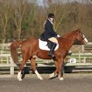 Image 17 in BROADS  EC  DRESSAGE  6  DEC  2014