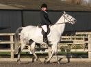 Image 19 in BROADS  EC  DRESSAGE  6  DEC  2014