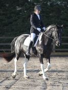 Image 2 in BROADS  EC  DRESSAGE  6  DEC  2014