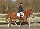 Image 26 in BROADS  EC  DRESSAGE  6  DEC  2014