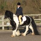 Image 28 in BROADS  EC  DRESSAGE  6  DEC  2014