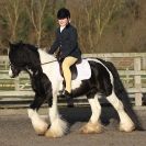 Image 29 in BROADS  EC  DRESSAGE  6  DEC  2014