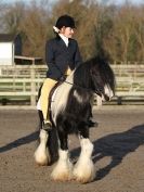 Image 30 in BROADS  EC  DRESSAGE  6  DEC  2014