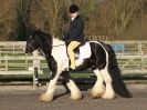 Image 31 in BROADS EC DRESSAGE 6 DEC 2014