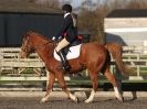 Image 33 in BROADS EC DRESSAGE 6 DEC 2014