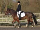 Image 34 in BROADS EC DRESSAGE 6 DEC 2014