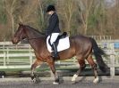 Image 35 in BROADS EC DRESSAGE 6 DEC 2014