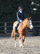 Image 43 in BROADS EC DRESSAGE 6 DEC 2014