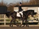 Image 5 in BROADS  EC  DRESSAGE  6  DEC  2014