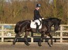 Image 7 in BROADS  EC  DRESSAGE  6  DEC  2014