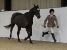 Image 34 in A LOCAL SHOW. 7 DEC 2014