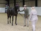 Image 40 in A LOCAL SHOW. 7 DEC 2014