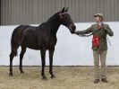 Image 55 in A LOCAL SHOW. 7 DEC 2014