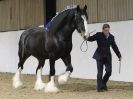 Image 57 in A LOCAL SHOW. 7 DEC 2014