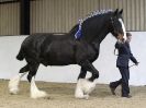 Image 59 in A LOCAL SHOW. 7 DEC 2014