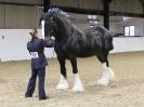 Image 63 in A LOCAL SHOW. 7 DEC 2014