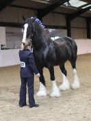 Image 64 in A LOCAL SHOW. 7 DEC 2014