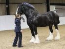 Image 65 in A LOCAL SHOW. 7 DEC 2014