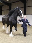 Image 67 in A LOCAL SHOW. 7 DEC 2014