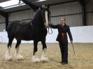Image 69 in A LOCAL SHOW. 7 DEC 2014