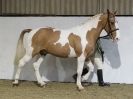 Image 72 in A LOCAL SHOW. 7 DEC 2014