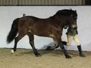 Image 73 in A LOCAL SHOW. 7 DEC 2014