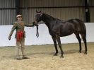 Image 78 in A LOCAL SHOW. 7 DEC 2014