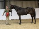 Image 79 in A LOCAL SHOW. 7 DEC 2014