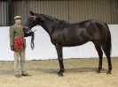 Image 80 in A LOCAL SHOW. 7 DEC 2014