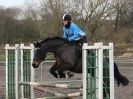Image 19 in SHOW JUMPING AT OVERA FARM STUD