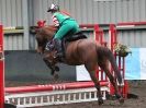 Image 2 in SHOW JUMPING AT OVERA FARM STUD