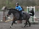 Image 20 in SHOW JUMPING AT OVERA FARM STUD