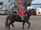 Image 24 in SHOW JUMPING AT OVERA FARM STUD