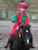 Image 25 in SHOW JUMPING AT OVERA FARM STUD