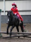 Image 3 in SHOW JUMPING AT OVERA FARM STUD