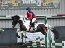 Image 30 in SHOW JUMPING AT OVERA FARM STUD