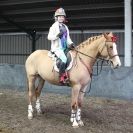 Image 37 in SHOW JUMPING AT OVERA FARM STUD