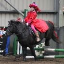 Image 4 in SHOW JUMPING AT OVERA FARM STUD