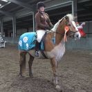 Image 43 in SHOW JUMPING AT OVERA FARM STUD