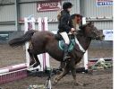 Image 45 in SHOW JUMPING AT OVERA FARM STUD