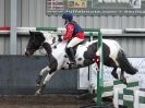 Image 46 in SHOW JUMPING AT OVERA FARM STUD