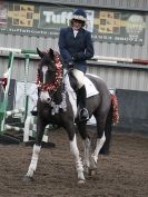 Image 57 in SHOW JUMPING AT OVERA FARM STUD