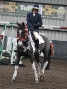 Image 57 in SHOW JUMPING AT OVERA FARM STUD