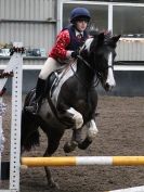 Image 61 in SHOW JUMPING AT OVERA FARM STUD