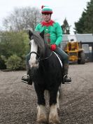 Image 25 in OVERA FARM STUD.  CHRISTMAS DRESSAGE 21 DEC 2014