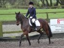 Image 35 in OVERA FARM STUD. CHRISTMAS DRESSAGE 21 DEC 2014