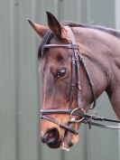 Image 41 in OVERA FARM STUD. CHRISTMAS DRESSAGE 21 DEC 2014