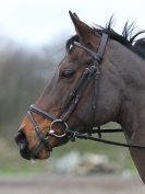 Image 44 in OVERA FARM STUD. CHRISTMAS DRESSAGE 21 DEC 2014